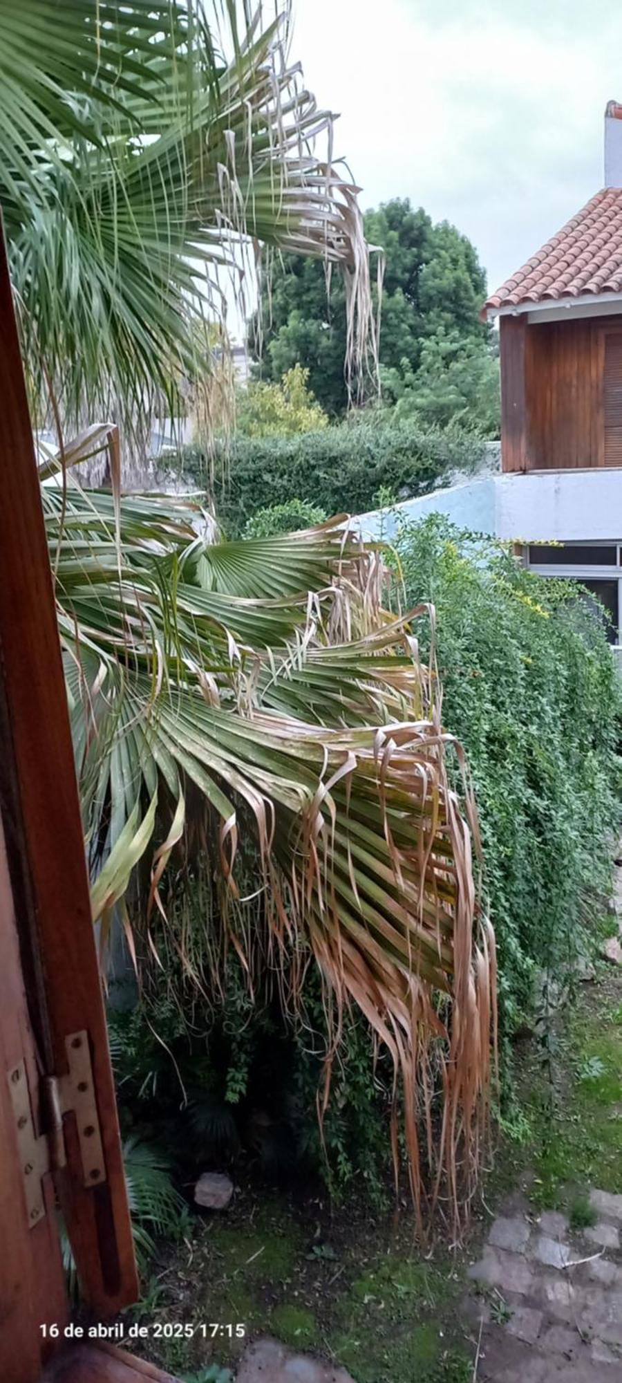 Ezeiza Bed And Breakfast Exteriör bild